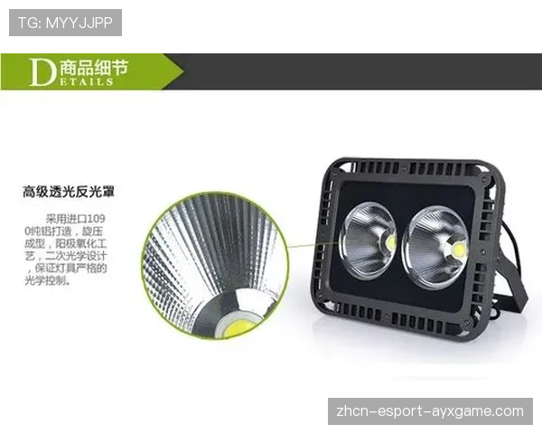 球场夜间应急灯具巡检模板与合格记录格式，球场灯依据标准